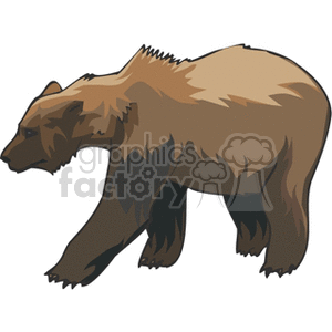 Full body profile of large grizzly bear clipart.