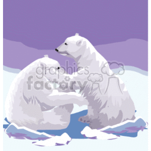Two playful polar bears sitting in the snow clipart.