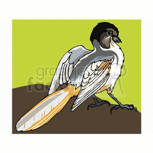 Black-faced Bunting bird clipart. Royalty-free image # 130255