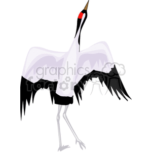 Red-crowned crane with outstretched wings clipart. Commercial use image # 130306