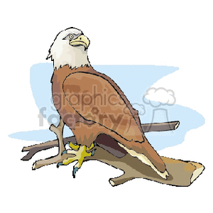 clipart - Majestic American Bald Eagle perched in a tree.