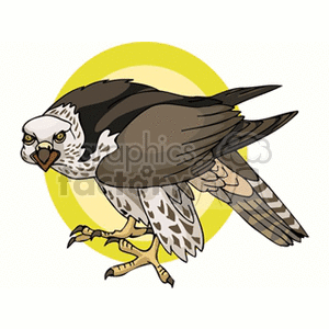 clipart - Falcon, full body side profile.