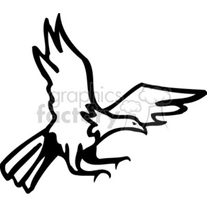 clipart - Black and white bald eagle swooping down, hunting.