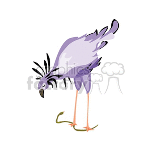 Purple exotic bird standing on a snake clipart.