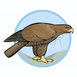 Side profile of a golden eagle clipart.