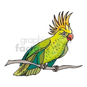 Green cockatoo perched on a branch clipart. Royalty-free image # 130536
