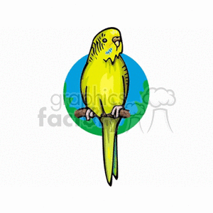 Bright green parakeet clipart. Commercial use image # 130538