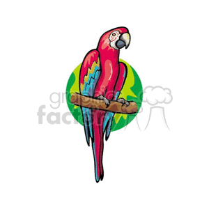 Red and blue scarlet macaw clipart. Royalty-free image # 130540