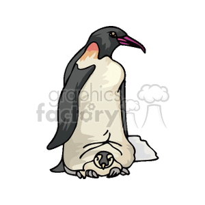 clipart - Emperor penguin and baby chick.