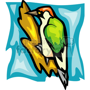 Green winged woodpecker clipart. Commercial use image # 130735