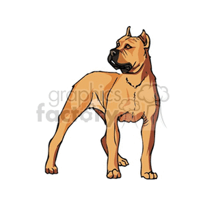 Brown pit bull clipart. Royalty-free image # 131720
