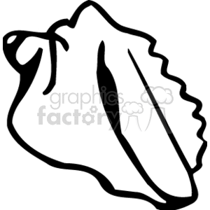 black and white outline of a sea shell clipart. Commercial use image # 132219