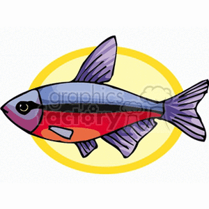 fish125