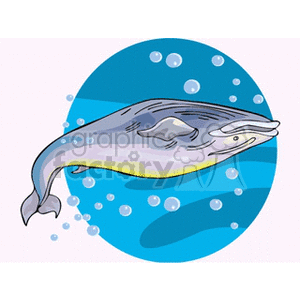 whale underwater clipart. Commercial use image # 132698