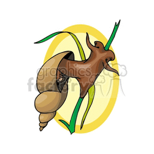 snail7 clipart. Royalty-free image # 132714
