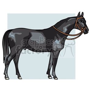   horse horses farm farms animals  blackhorse.gif Clip Art Animals Horse stallion