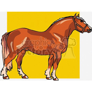 draughthorse clipart. Royalty-free image # 132769