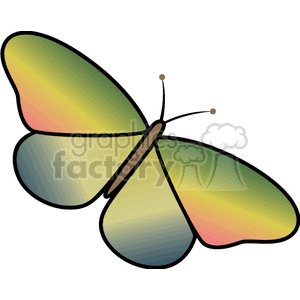   insect insects bug bugs butterfly butterflies  FAI0102.gif Clip Art Animals Insects 