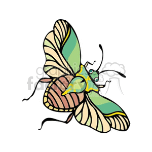   insect insects bug bugs moth moths  bug5.gif Clip Art Animals Insects 