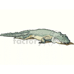 alligator7 clipart. Royalty-free image # 133110