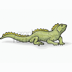   lizards lizard animals iguana iguanas  tuatara.gif Clip Art Animals green