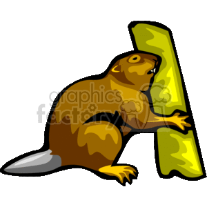   rodent rodents animals beaver beavers  3_beaver.gif Clip Art Animals Rodents 