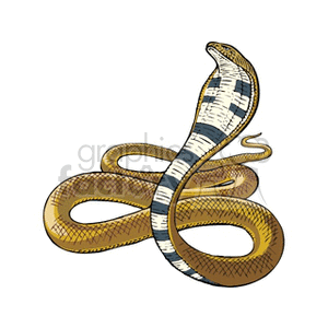   animals snakes snake cobra cobras Clip Art Animals Snakes 