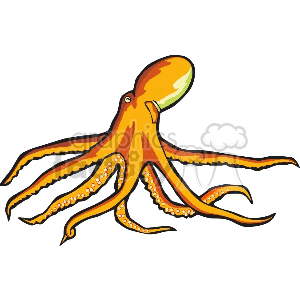 Orange octopus clipart.