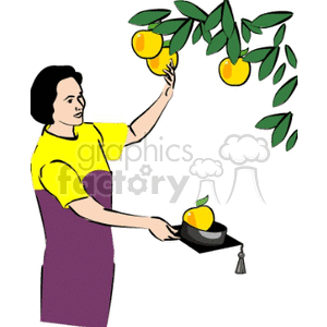 Cartoon female student picking apples holding a cap clipart. Commercial use image # 138604