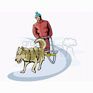   dog dogs sledding sleds winter huskey race hiking hike Clip Art Entertainment 