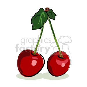   food cherry cherries fruit  cherry1 Clip Art Food-Drink red