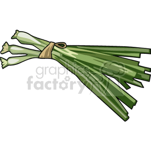 Bunch of green onions clipart.