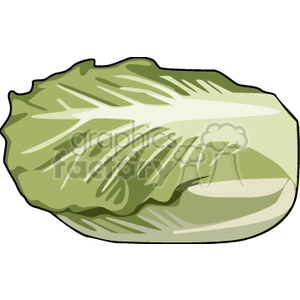 Leafs of lettuce clipart.