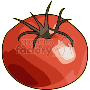   vegetable vegetables food healthy tomato tomatoes  PFV0108.gif Clip Art Food-Drink Vegetables 