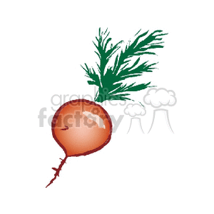 radish clipart. Commercial use image # 142344