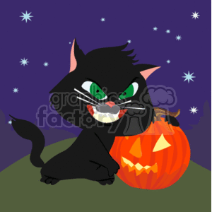 Cartoon black kitten guarding a pumpkin clipart. Royalty-free image # 144467