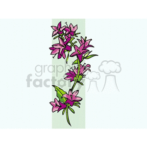 Purple bell flowers  clipart. Commercial use image # 151202
