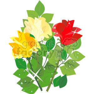 Rose bush with red and yellow roses clipart.