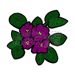 Violets clipart. Commercial use image # 151775