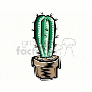   plant plants cactus cactuses  cactus21212.gif Clip Art Nature Plants 