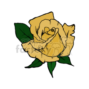 yellow rose clipart. Royalty-free image # 152066