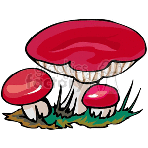 red mushrooms on a patch of grass clipart.