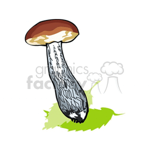 mushroom20