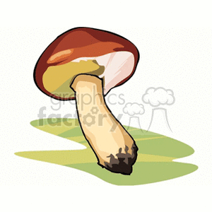 mushroom28