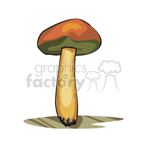 mushroom31