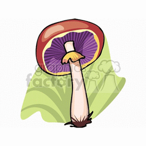 mushroom32 clipart. Royalty-free image # 152166