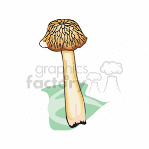 mushroom54