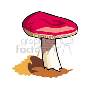 mushroom56