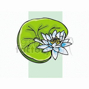 lotus lily clipart. Royalty-free image # 152232