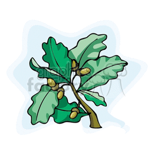 oakbranch clipart. Royalty-free image # 152244